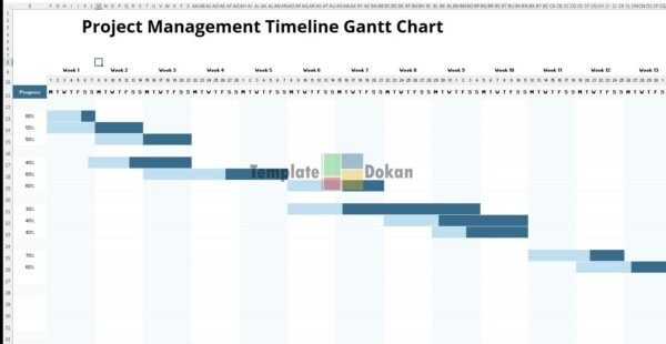 Project Management Timeline Gantt Chart